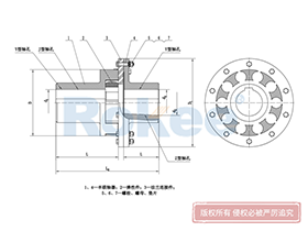 LMD/MLZ Plum-shaped Flexible Coupling,Plum Couplings