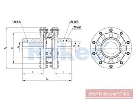 LMS/MLS Plum-shaped Flexible Coupling,Plum Couplings