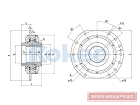 WJ Drum Coupling,Drum Couplings