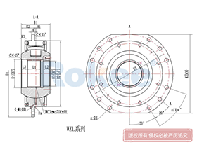 DQ/WZL Drum Coupling,Drum Couplings